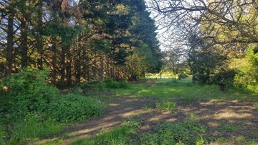 Maison a vendre Saint-Georges-sur-la-Prée 18100 Cher 114 m2 5 pièces 231880 euros