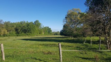 Maison a vendre Saint-Georges-sur-la-Prée 18100 Cher 114 m2 5 pièces 231880 euros