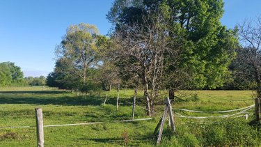 Maison a vendre Saint-Georges-sur-la-Prée 18100 Cher 114 m2 5 pièces 231880 euros