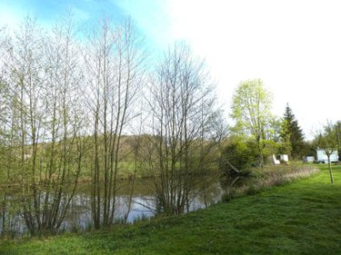 Terrains de loisirs bois etangs a vendre Luzillé 37150 Indre-et-Loire 2640 m2  89560 euros