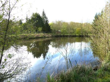 Terrains de loisirs bois etangs a vendre Luzillé 37150 Indre-et-Loire 2640 m2  89560 euros