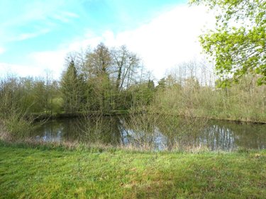 Terrains de loisirs bois etangs a vendre Luzillé 37150 Indre-et-Loire 2640 m2  89560 euros