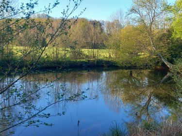 Terrains de loisirs bois etangs a vendre Luzillé 37150 Indre-et-Loire 2640 m2  89560 euros