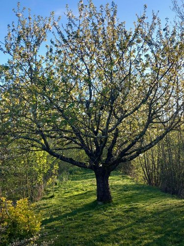 Terrains de loisirs bois etangs a vendre Luzillé 37150 Indre-et-Loire 2640 m2  89560 euros