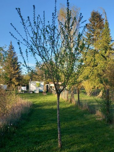Terrains de loisirs bois etangs a vendre Luzillé 37150 Indre-et-Loire 2640 m2  89560 euros