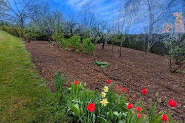 Terrains de loisirs bois etangs a vendre Nogent-le-Rotrou 28400 Eure-et-Loir 3219 m2  8500 euros