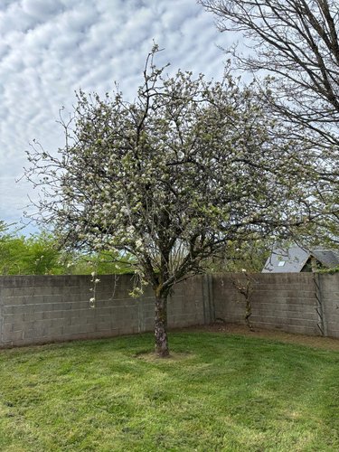 Terrain a batir a vendre Quéménéven 29180 Finistère 1487 m2  64400 euros