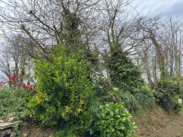 Terrain a batir a vendre Quéménéven 29180 Finistère 1487 m2  64400 euros