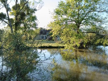 Maison a vendre Saint-Pierre-les-Bois 18170 Cher 90 m2 3 pièces 48000 euros