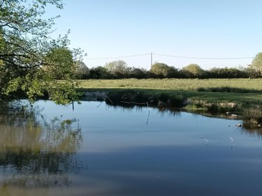 Maison a vendre Saint-Pierre-les-Bois 18170 Cher 90 m2 3 pièces 48000 euros