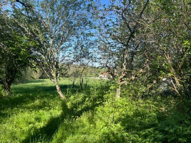 Maison a vendre Ribérac 24600 Dordogne 148 m2 3 pièces 144450 euros