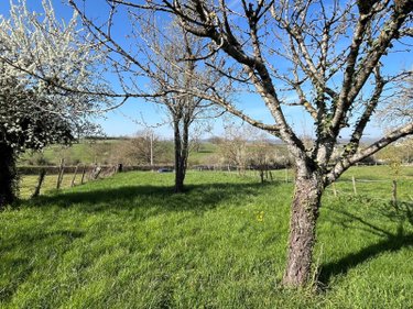 Maison a vendre Sauvigny-le-Beuréal 89420 Yonne 91 m2 3 pièces 66000 euros