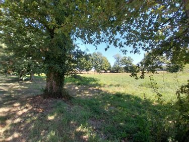 Terrains de loisirs bois etangs a vendre Drouges 35130 Ille-et-Vilaine 19234 m2  59800 euros