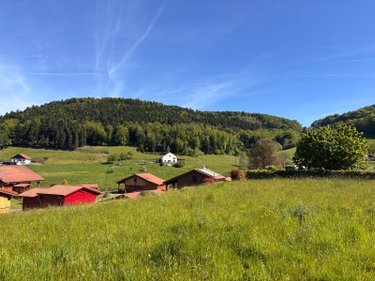 Terrain a batir a vendre Le Val-d'Ajol 88340 Vosges 813 m2  23600 euros