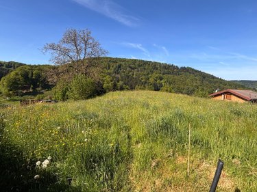 Terrain a batir a vendre Le Val-d'Ajol 88340 Vosges 813 m2  23600 euros