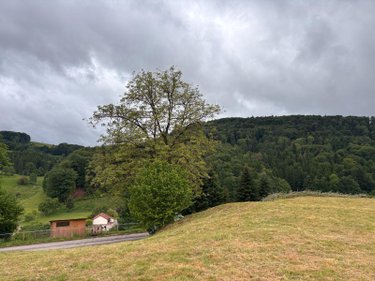 Terrain a batir a vendre Le Val-d'Ajol 88340 Vosges 813 m2  23600 euros