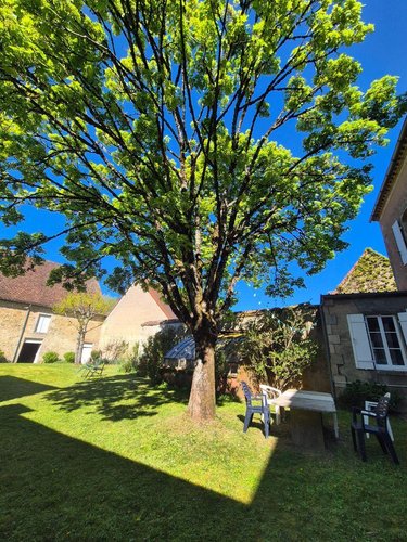 propriete a vendre Aigurande 36140 Indre 338 m2 12 pièces 338000 euros