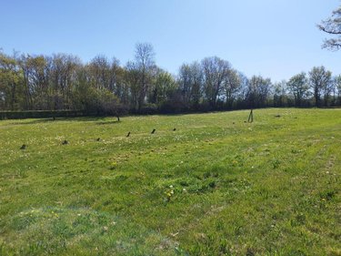 Maison a vendre Nohant-Vic 36400 Indre 135 m2  201400 euros