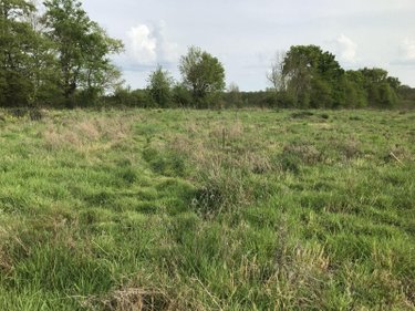 Bien agricole a vendre Courcemont 72110 Sarthe  37800 euros