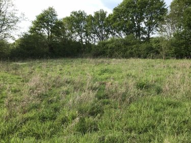 Bien agricole a vendre Courcemont 72110 Sarthe  37800 euros