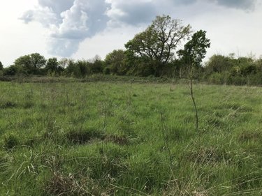 Bien agricole a vendre Courcemont 72110 Sarthe  37800 euros