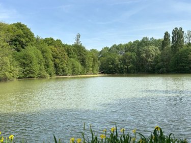 Maison a vendre Orbigny 37460 Indre-et-Loire 300 m2 4 pièces 596057 euros