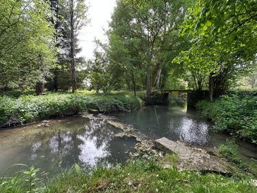 Maison a vendre Orbigny 37460 Indre-et-Loire 300 m2 4 pièces 596057 euros