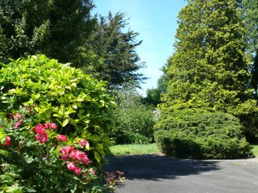 Maison a vendre Quévert 22100 Côtes-d'Armor 117 m2 6 pièces 238970 euros
