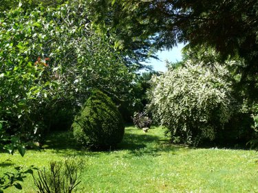 Maison a vendre Quévert 22100 Côtes-d'Armor 117 m2 6 pièces 238970 euros