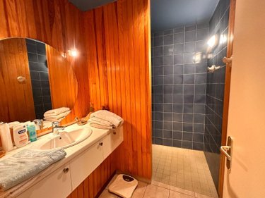 Maison a vendre Saint-Julien-du-Sault 89330 Yonne 232 m2 6 pièces 355000 euros