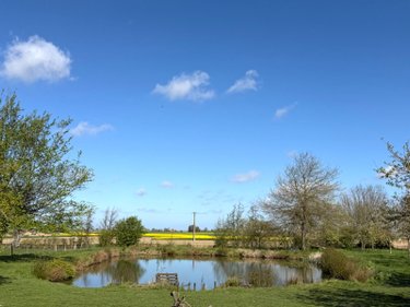 Maison a vendre Killem 59122 Nord 164 m2 6 pièces 269000 euros