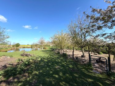 Maison a vendre Killem 59122 Nord 164 m2 6 pièces 297000 euros