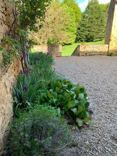 propriete a vendre Vézac 24220 Dordogne 222 m2 7 pièces 499200 euros