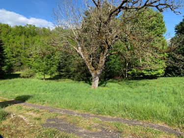 propriete a vendre Vézac 24220 Dordogne 222 m2 7 pièces 499200 euros