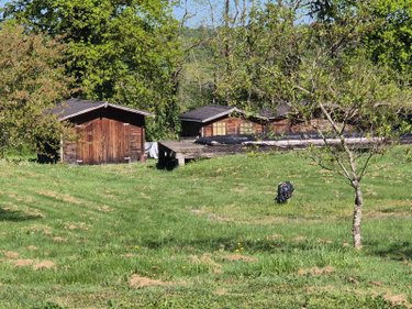 Maison a vendre Orsennes 36190 Indre 160 m2 6 pièces 136000 euros