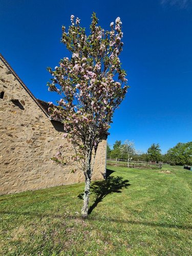 Maison a vendre Orsennes 36190 Indre 160 m2 6 pièces 136000 euros