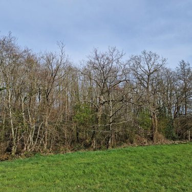 Terrains de loisirs bois etangs a vendre Pré-en-Pail-Saint-Samson 53140 Mayenne 12460 m2  21000 euros