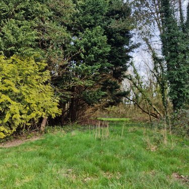 Maison a vendre Pré-en-Pail-Saint-Samson 53140 Mayenne 71 m2  132500 euros