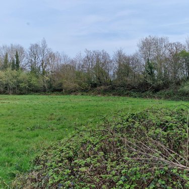 Maison a vendre Pré-en-Pail-Saint-Samson 53140 Mayenne 71 m2  132500 euros