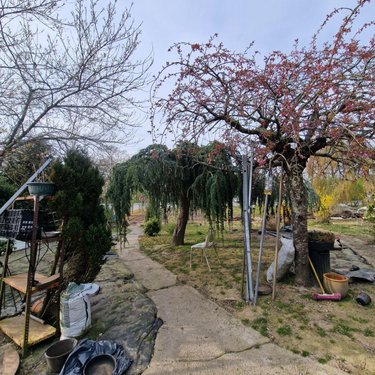 Maison a vendre Pré-en-Pail-Saint-Samson 53140 Mayenne 71 m2  132500 euros