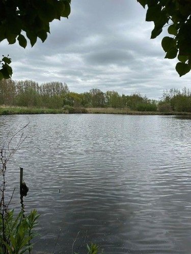 Terrains de loisirs bois etangs a vendre Éperlecques 62910 Pas-de-Calais 28356 m2  158750 euros