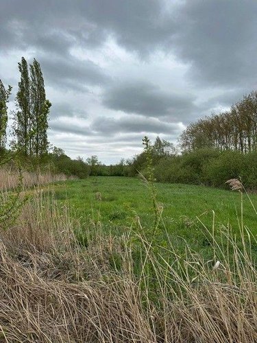 Terrains de loisirs bois etangs a vendre Éperlecques 62910 Pas-de-Calais 28356 m2  158750 euros