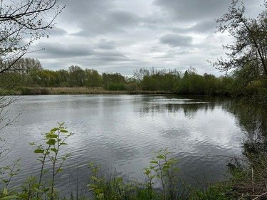 Terrains de loisirs bois etangs a vendre Éperlecques 62910 Pas-de-Calais 28356 m2  158750 euros