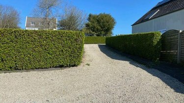 Terrain a batir a vendre Locquirec 29241 Finistère 1000 m2  210000 euros