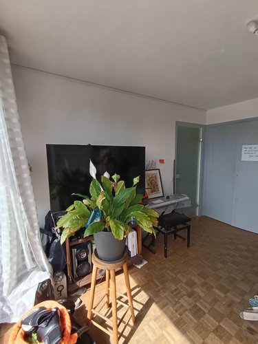 Location appartement Caen 14000 Calvados 30 m2 1 pièce 500 euros