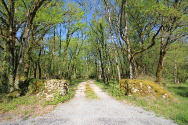 Maison a vendre Villefranche-de-Rouergue 12200 Aveyron 247 m2 7 pièces 313200 euros