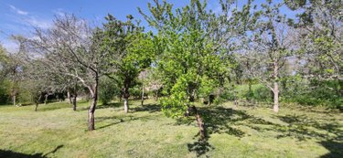 Maison a vendre Graçay 18310 Cher 46 m2 3 pièces 49864 euros