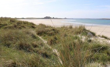 Maison a vendre Ploudalmézeau 29830 Finistère  293600 euros