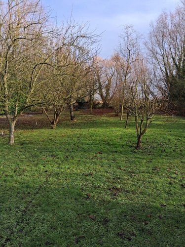 Maison a vendre Bourbourg 59630 Nord 146 m2 6 pièces 228800 euros