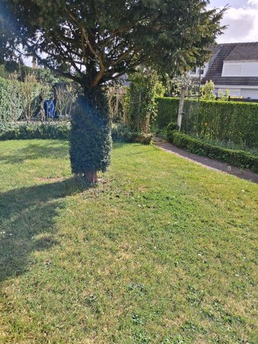 Maison a vendre Bourbourg 59630 Nord 83 m2 6 pièces 213200 euros